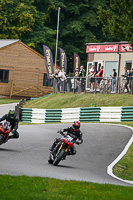 cadwell-no-limits-trackday;cadwell-park;cadwell-park-photographs;cadwell-trackday-photographs;enduro-digital-images;event-digital-images;eventdigitalimages;no-limits-trackdays;peter-wileman-photography;racing-digital-images;trackday-digital-images;trackday-photos